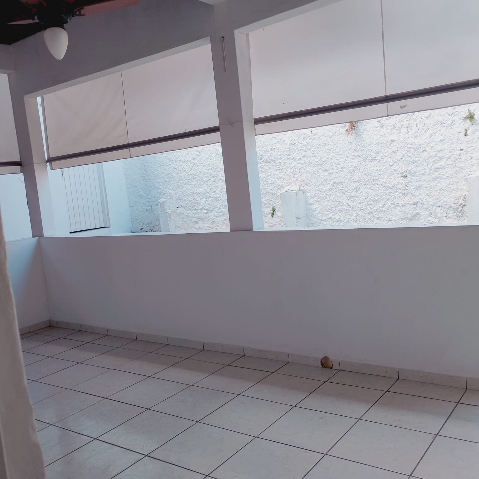 Sala interna com janelas altas em fita, persianas claras, paredes brancas e piso frio claro.